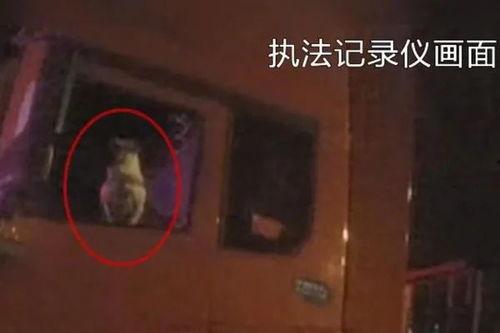 横行霸道无删减在线播放,无删减版热血江湖传奇