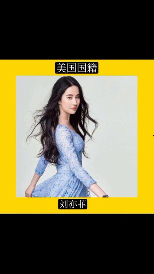 中国明星官网首页,聚焦璀璨星辉，尽览娱乐资讯盛宴