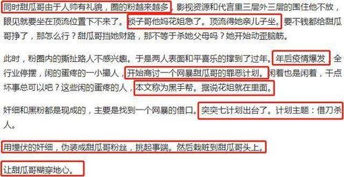 娱乐圈吃瓜营销号是什么